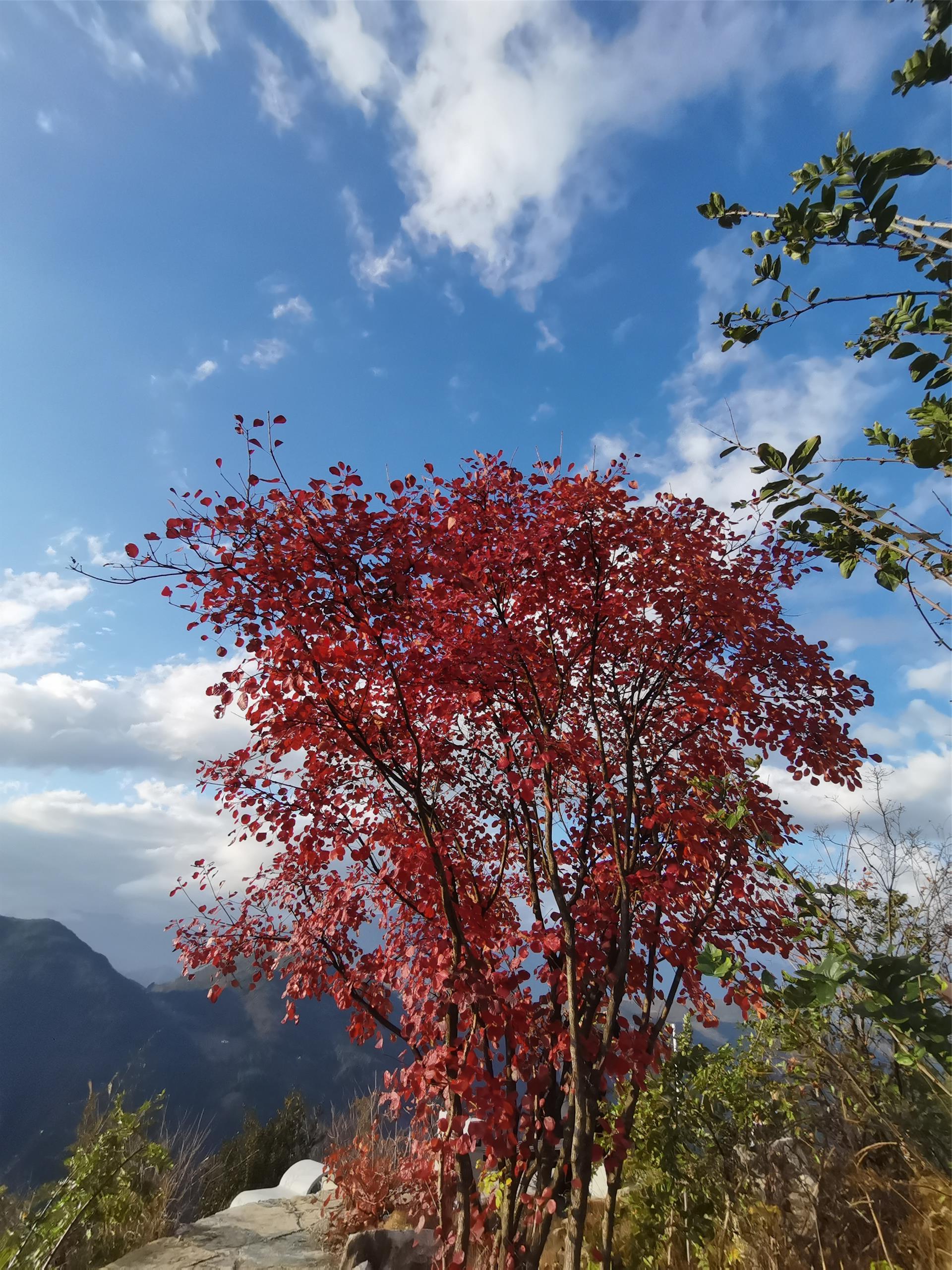 长江三峡风景随拍