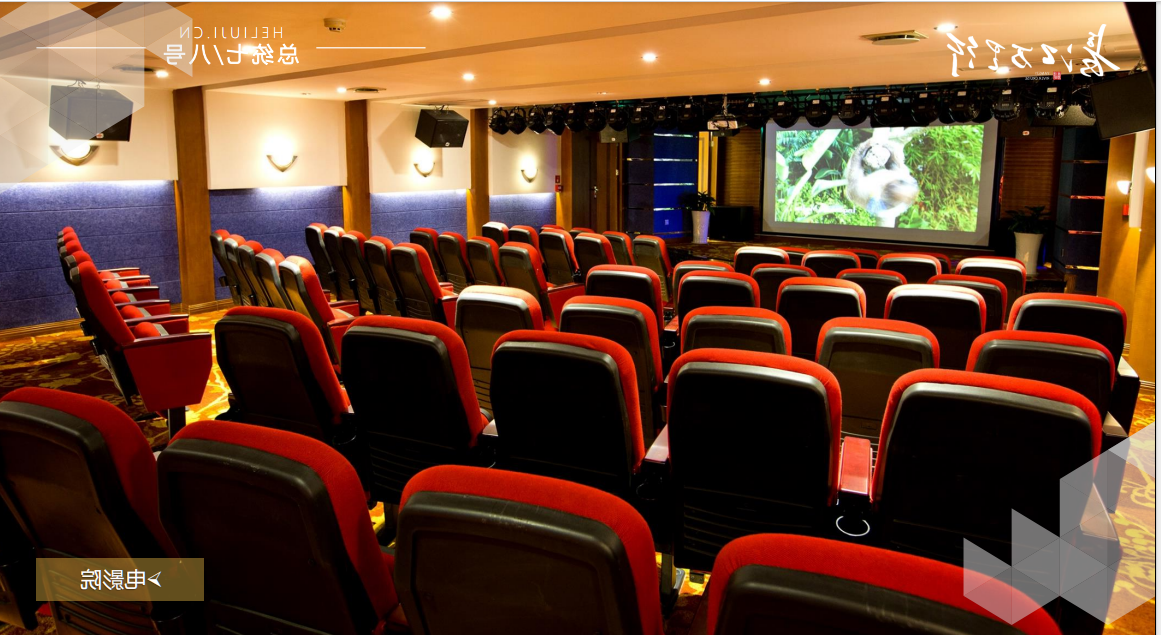 总统7号游轮图片