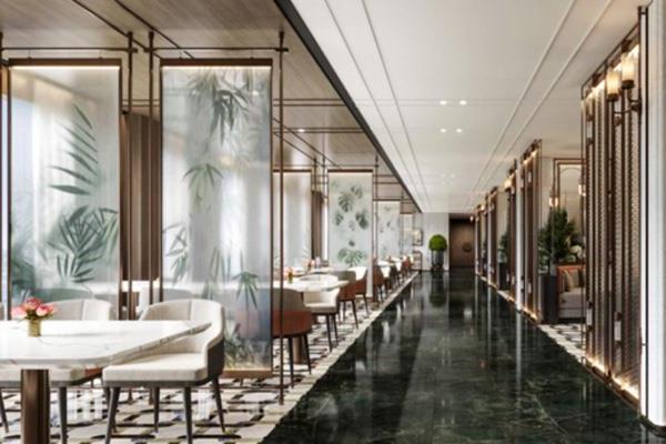 长江行极光游轮图片