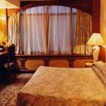 龙腾欢乐总统套房图片